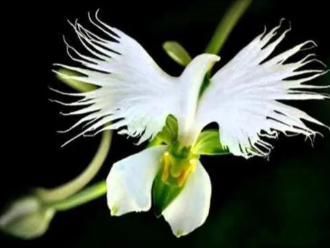 Những người sinh vào 3 tháng Âm lịch này, luôn gặp suôn sẻ, tuổi già hưởng hết phúc phần thiên hạ