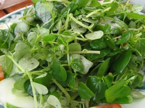 3 cách ăn rau càng cua, giúp giảm đau khớp và giảm axit uric