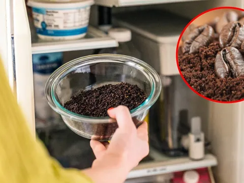 7 cách khử mùi hôi tủ lạnh bằng nguyên liệu tự nhiên, an toàn