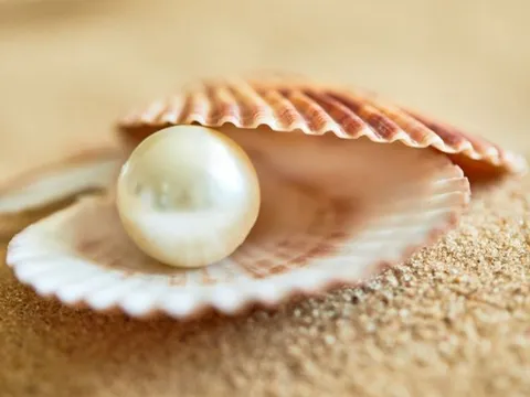 4 công dụng làm đẹp tuyệt vời từ bột ngọc trai