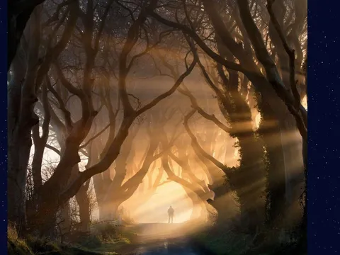  Quiz: Phản ứng đầu tiên của bạn khi nhìn bức ảnh này sẽ tiết lộ khả năng giàu có trong 10 năm tới