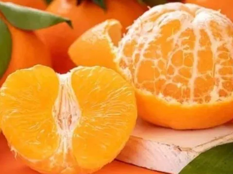 Cam đang vào mùa, nhưng bác sĩ cảnh báo: 3 thực phẩm tuyệt đối không ăn cùng cam