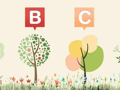 Trắc nghiệm phong thủy: Khám phá vận trình của bạn từ nay đến cuối năm 2025