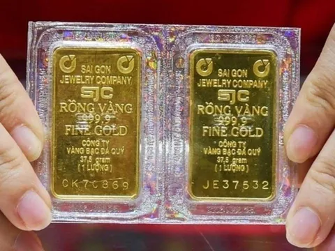 Giá vàng hôm nay 12/12: Vàng miếng giảm, vàng nhẫn bật tăng mạnh - Cập nhật thị trường mới nhất