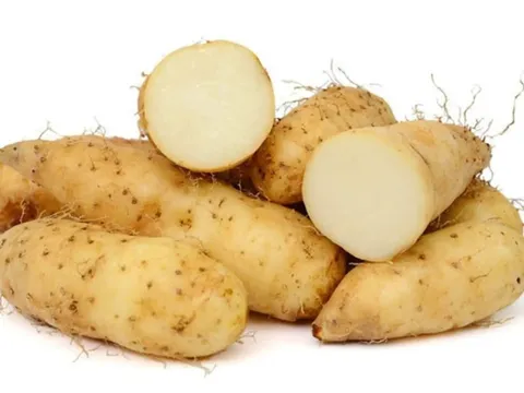 Loại củ rẻ tiền được ví là 'nhân sâm dưới lòng đất', lá chắn miễn dịch, giảm 30% nguy cơ viêm đường hô hấp