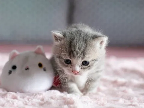 Quiz: 5 năm tới bạn sẽ giàu cỡ nào? Kiểm tra ngay kết quả bất ngờ