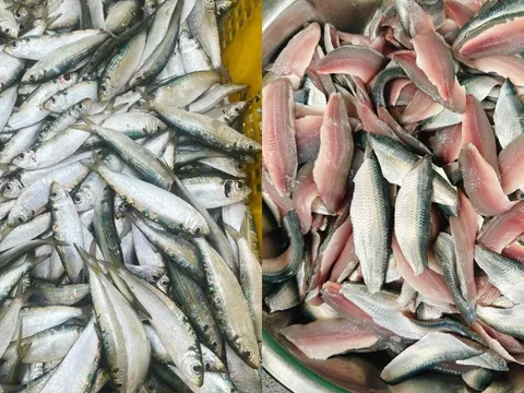 2 cá giàu omega-3 bậc nhất, hơn cả cá hồi, chợ Việt vừa nhiều vừa rẻ
