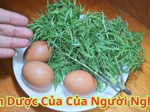 Cách ăn đinh lăng giảm đau đầu, xương khớp chắc khoẻ