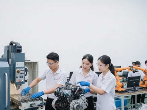 Ngành học khát nhân lực 10 năm tới, ra trường dễ kiếm việc, thu nhập tăng nhanh theo thời gian