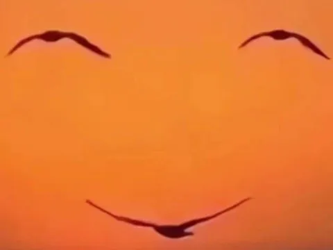 Trắc nghiệm tâm lý: Bạn ưu tiên tiền bạc hay đặt cảm xúc lên hàng đầu?