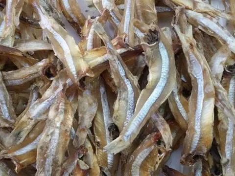 3 loại hải sản phổ biến và rất rẻ này, chuyên gia khuyến khích tăng cường ăn, vì chúng rất giàu canxi