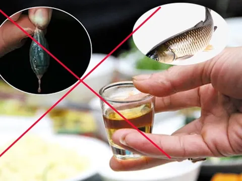 4 bộ phận của cá cực độc: Đặc biệt loại thứ nhất nhiều người vẫn tin dùng