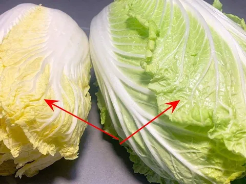 Nên mua cải thảo lá vàng hay cải thảo lá xanh?