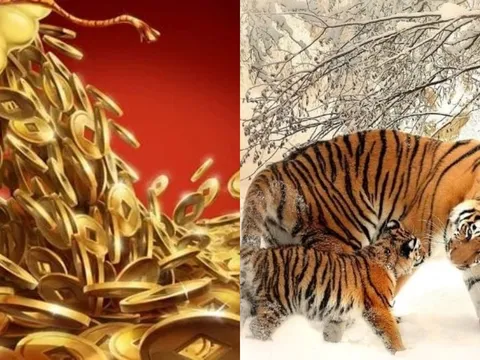 Thiên thời ngày 19/12: 3 con giáp lặng lẽ tích lũy rồi bất ngờ bứt tốc cuối năm giàu sụ