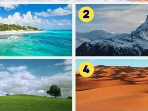 Quiz trắc nghiệm: Duyên tiền bạc của bạn mỏng hay dày? Kiểm tra ngay vận tài chính chuẩn xác!