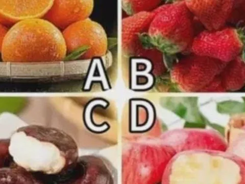 Trắc nghiệm tâm lý: Chọn loại quả bạn thích nhất để biết ai là “quý nhân” mang may mắn đến cho bạn