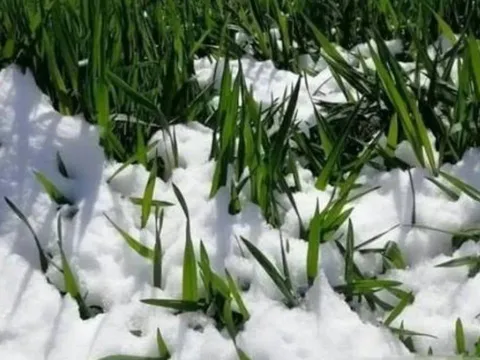 Vì sao dân gian sợ ngày mùng 1 tháng 11 âm lịch? Ngày mai đến rồi, có gì đáng lo?