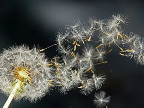 Càng sớm từ bỏ 3 điều này, bạn càng nhanh chạm tay vào hạnh phúc, càng già lại càng vui