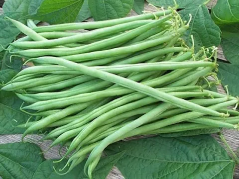 Loại đậu này rất giàu canxi, tốt cho xương khớp và chức năng gan thận