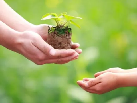 Phật dạy: 3 kiểu giúp đỡ ''phản tác dụng'', càng giúp càng gây họa, nên đừng giúp