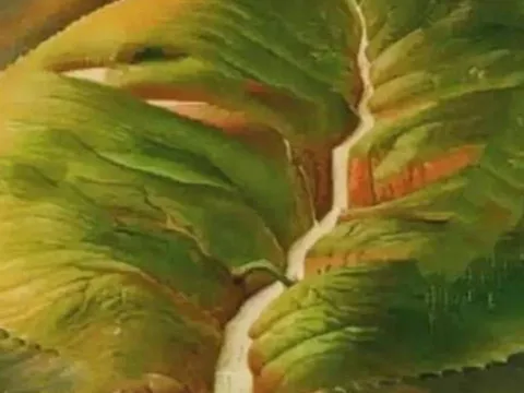 Trắc nghiệm tâm lý cực chuẩn: Thứ bạn nhìn thấy đầu tiên tiết lộ vận mệnh và tương lai cuộc đời bạn