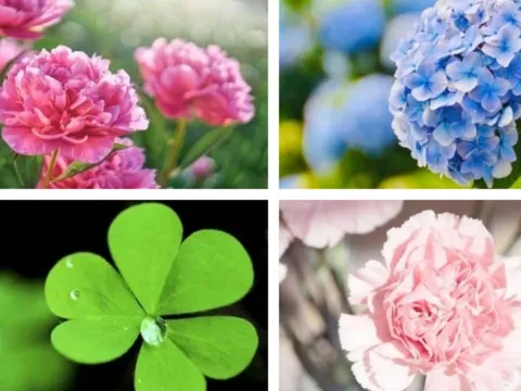 Quiz vận mệnh: Tháng này vũ trụ đang ưu ái bạn điều gì nhất?