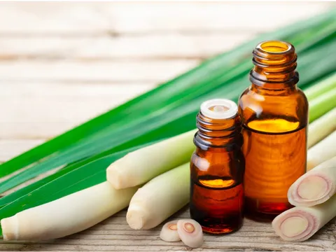 2 mẹo đơn giản dùng tinh dầu sả kích thích mọc tóc