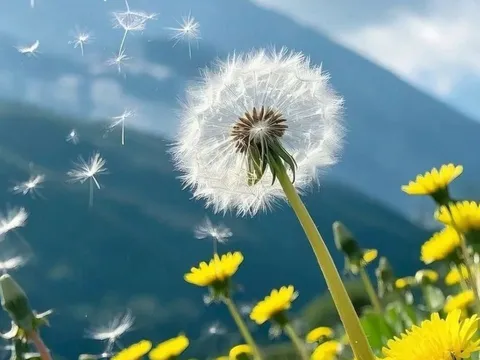 Chủ nhật 28/12: 3 con giáp nên nghỉ ngơi, càng cố làm việc càng dễ rối ren