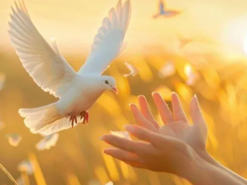 Tưởng là tốt nhưng càng làm càng giảm phước: 5 kiểu sống đang âm thầm bào mòn vận may