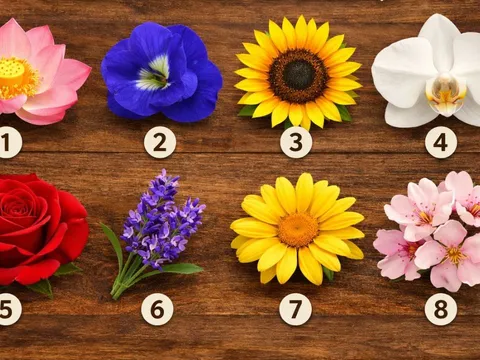  Quiz: Chọn 1 bông hoa để khám phá tài năng tiềm ẩn mà bạn chưa khai phá trong mình