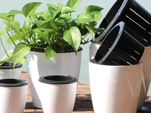 Trắc nghiệm tâm lý: Bạn là người cho đi nhiều hay luôn giữ lại cho riêng mình?