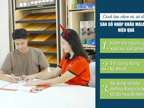 Sàn gỗ Malaysia có phù hợp với khí hậu Việt Nam