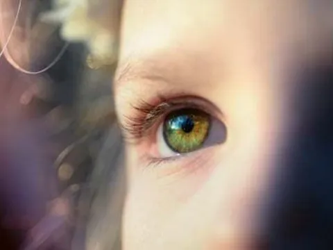 4 phẩm chất tốt đẹp này, người có tầm nhìn xa sẽ sở hữu chúng