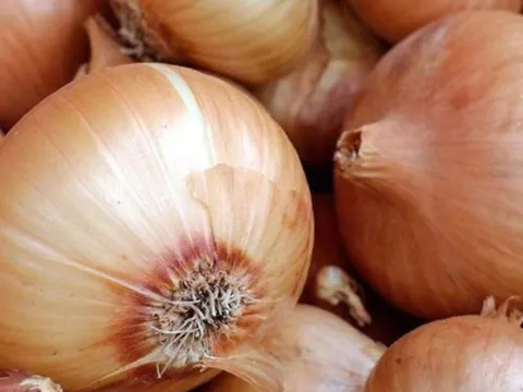 Những người không nên ăn hành tây