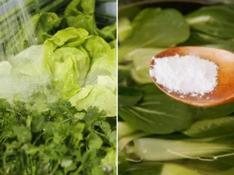 Rau ngâm nước muối bao lâu là sạch thuốc mà vẫn xanh giòn?