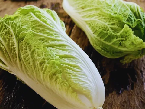 Những người không nên ăn cải thảo