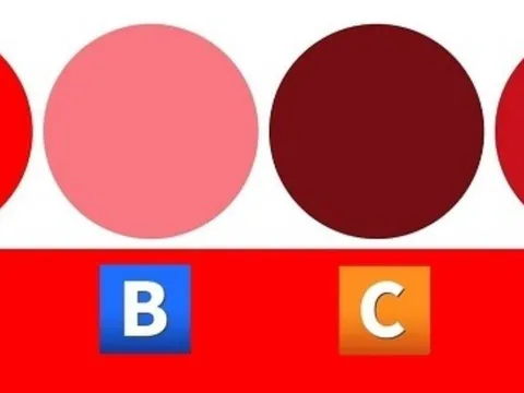 Trắc nghiệm tâm lý: Ai sẽ trở thành chỗ dựa tinh thần của bạn trong thời gian tới?