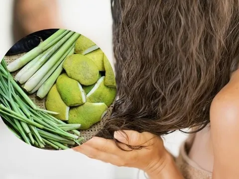 Mẹo dùng lá sả chăm sóc tóc làm sạch da đầu và giảm gàu nhanh chóng