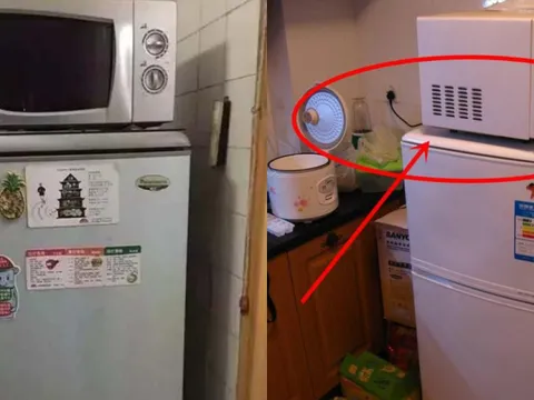 Cứ tiện tay đặt thứ này trên nóc tủ lạnh: Gia chủ làm quần quật cả năm vẫn không hết nghèo