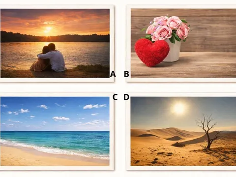 Quiz: Chọn 1 hình ảnh để biết bạn giàu tình cảm lãng mạn hay khá khô khan