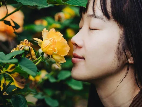 Trắc nghiệm thú vị: Điều gì đã thay đổi bạn nhiều nhất trong năm 2025