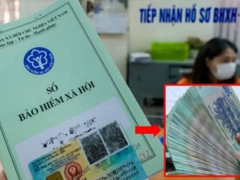 Đã hưởng BHXH một lần, đi làm lại có phải tiếp tục đóng BHXH bắt buộc không? Giải đáp chi tiết