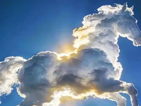 Trắc nghiệm tâm lý: Khám phá điểm tựa vững chắc nhất của bạn khi về già