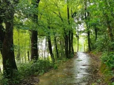 Trắc nghiệm tâm lý: Bạn chọn con đường nào trong 4 lựa chọn này?