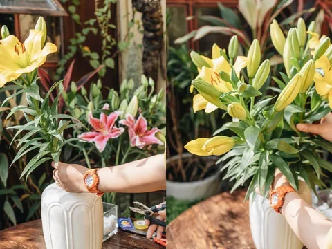 Mẹo cắm hoa cả tuần không héo, Tết này áp dụng ngay