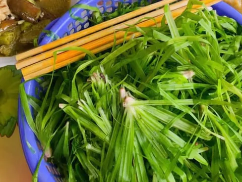 Món rau dại giòn ngọt chỉ xuất hiện khi miền Tây vào mùa nước nổi
