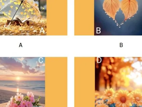 Trắc nghiệm tâm lý: Sau tuổi 50, bạn sẽ giàu sang phú quý hay sống an yên, bình dị?