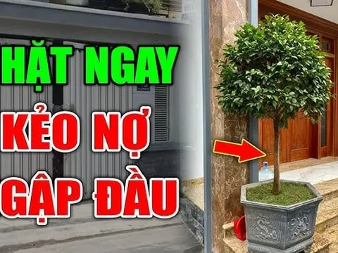 4 loại cây xui tận mạng, đẹp - thơm mấy cũng đừng dại mang về