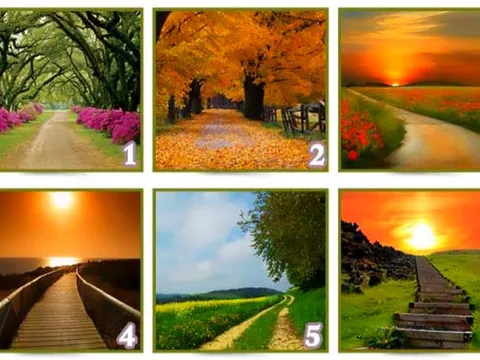 Quiz: Con đường bạn chọn sẽ nói lên sự thành công của bạn trong tương lai?