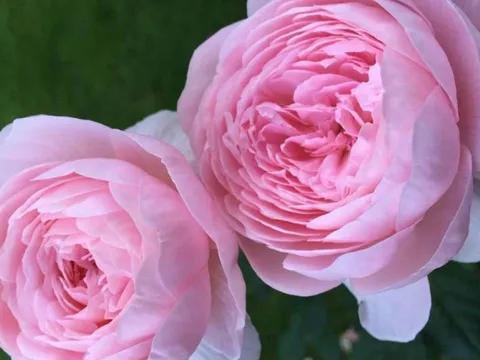 Trắc nghiệm nhanh: Bạn đang thiếu năng lượng ở khía cạnh nào của cơ thể?